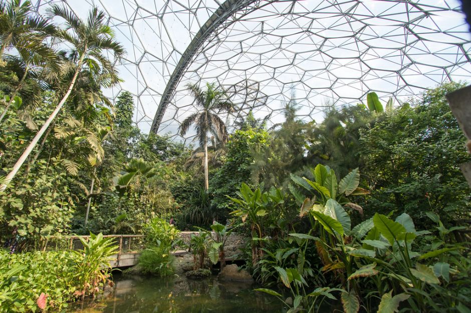 The Eden Project Adult Tickets