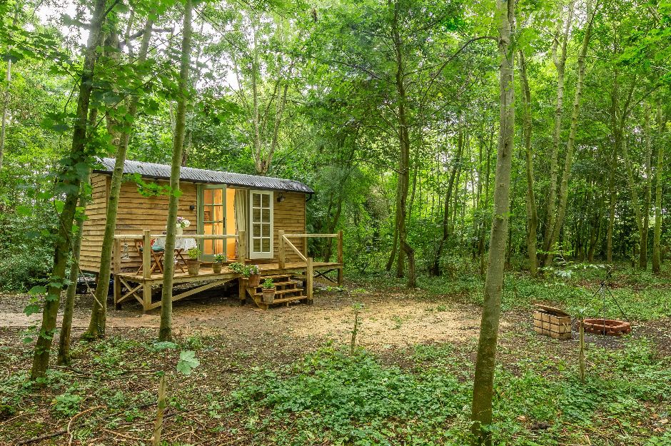 Woodland Retreat Shepherd’s Hut For Two