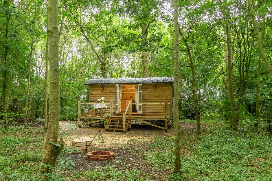 Woodland Retreat Shepherd’s Hut For Two